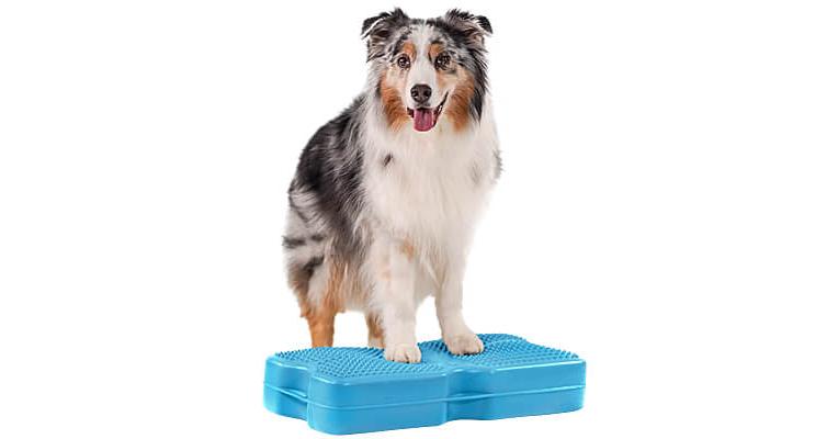 ソイル ブースト トレーニングボード ソイル ブースト トレーニングボード